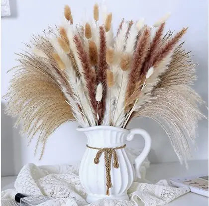 パンパスグラス｜ Dried Pampas Grass Bouque