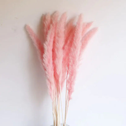 パンパスグラス｜ Dried Pampas Grass Bouque