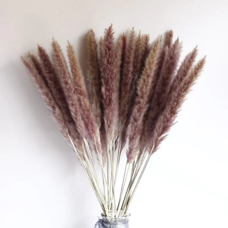 パンパスグラス｜ Dried Pampas Grass Bouque