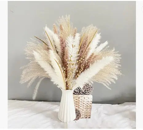 パンパスグラス｜ Dried Pampas Grass Bouque