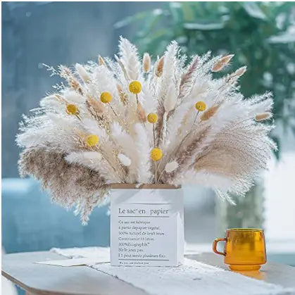 パンパスグラス｜ Dried Pampas Grass Bouque