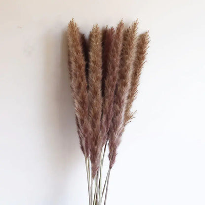 パンパスグラス｜ Dried Pampas Grass Bouque
