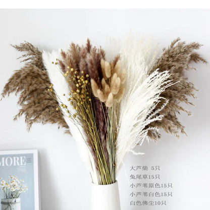 パンパスグラス｜ Dried Pampas Grass Bouque